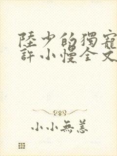 陆少的独宠甜妻许小慢全文txt