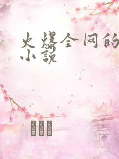 火爆全网的言情小说