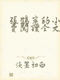 张鹤宁的小说免费阅读全文