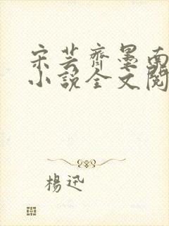 宋芸齐墨南最新小说全文阅读