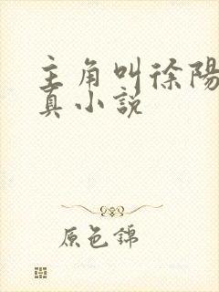 主角叫徐阳的修真小说