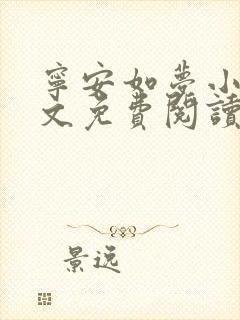 宁安如梦小说全文免费阅读无弹窗