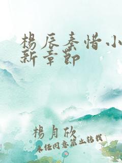 杨辰秦惜小说最新章节