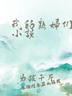 我的熟妇们av小说