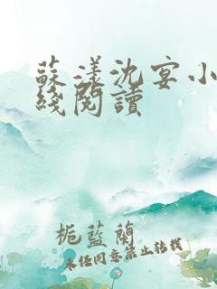 苏漾沈宴小说在线阅读