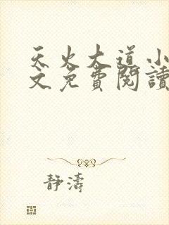 天火大道小说全文免费阅读无弹窗