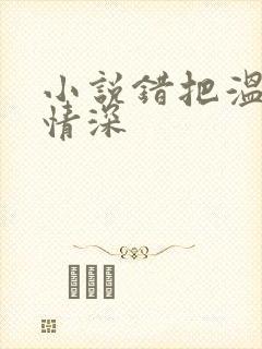 小说错把温柔当情深