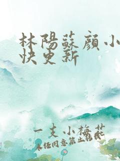 林阳苏颜小说最快更新