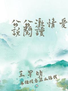 公公激情爱爱小说阅读