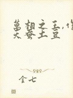 万相之王,作者天蚕土豆