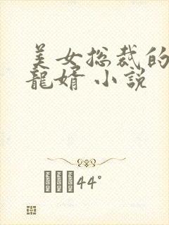 美女总裁的上门龙婿 小说
