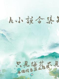 h小说合集短篇
