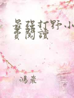 最强打野小说免费阅读