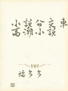 小说公交车被上高潮小说