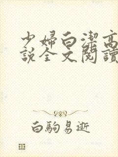 少妇白洁高义小说全文阅读