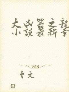 大凶器之龙傻子小说最新章节更新内容