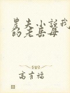 农夫小说我和我的老岳母