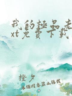 我的极品老婆txt免费下载