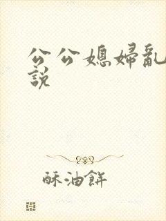 公公媳妇乱论小说