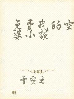 免费我的空姐老婆小说
