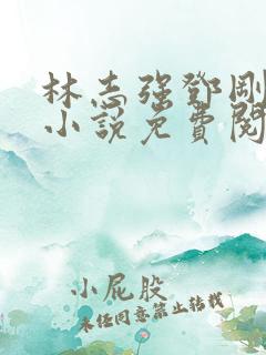 林志强邓刚官场小说免费阅读