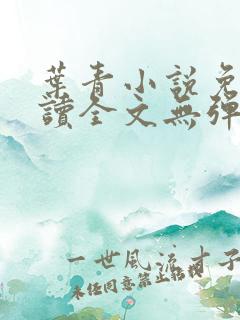 叶青小说免费阅读全文无弹窗