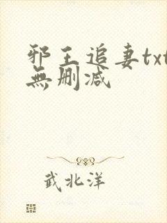 邪王追妻txt无删减
