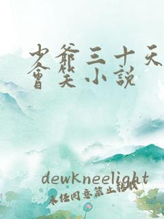 少爷三十天之后会笑小说