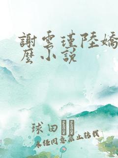 谢云瑾陆娇是什么小说
