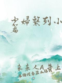 少妇系列小说短篇