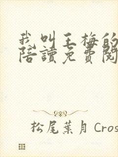 我叫王梅的小说陪读免费阅读