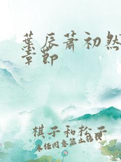 叶辰萧初然更新章节