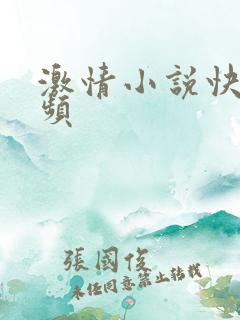 激情小说快点视频