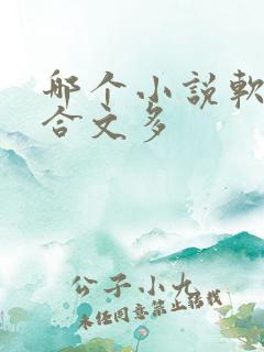 哪个小说软件百合文多