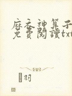 麻衣神算子小说免费阅读txt下载