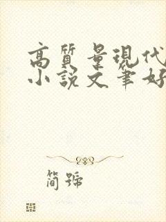 高质量现代言情小说文笔好