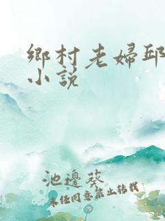 乡村老妇邱淑芬小说