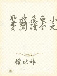 圣墟辰东小说免费阅读全文