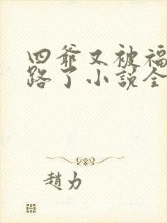 四爷又被福晋套路了小说全文阅读