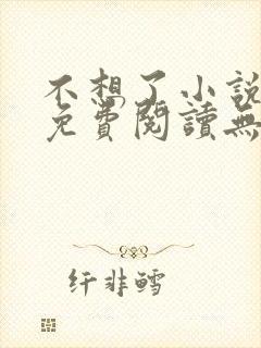 不想了小说全文免费阅读无弹窗