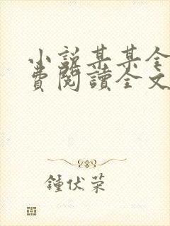 小说某某全文免费阅读全文