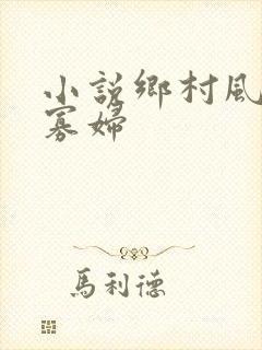 小说乡村风流小寡妇