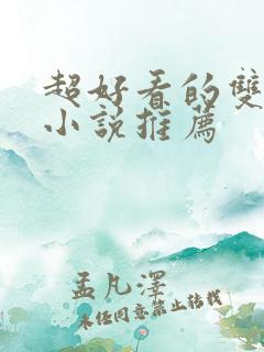 超好看的双男主小说推荐