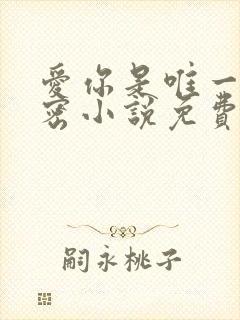 爱你是唯一的秘密小说免费阅读