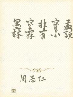 墨宝非宝孟晓东林霖有小说吗
