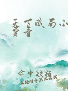 天下藏局小说免费看