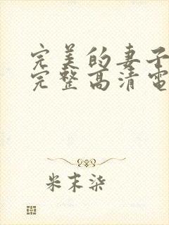 完美的妻子免费完整高清电视剧在线看
