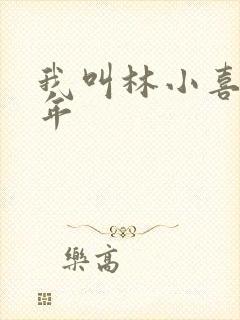我叫林小喜,今年