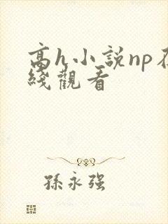 高h小说np在线观看