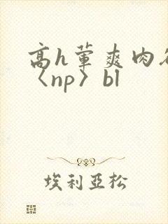 高h荤爽肉欲文〈np〉bl